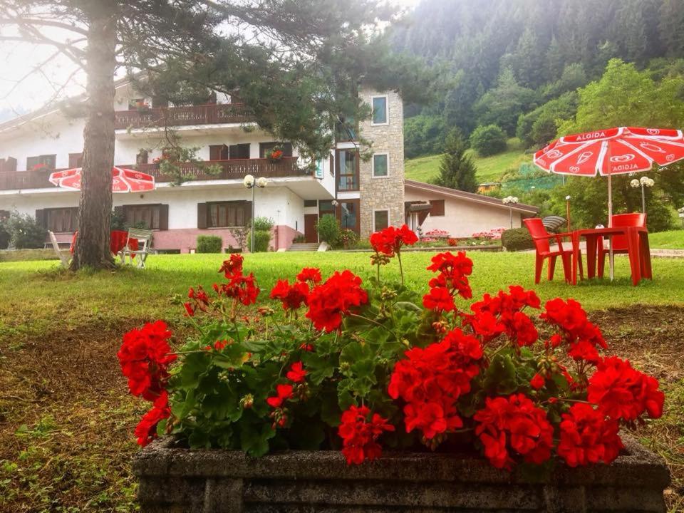 ボルノにあるAlbergo Sorgenteの赤い花とテーブルと傘が置かれた庭園