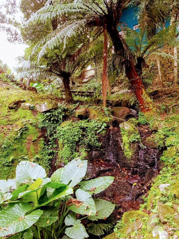 Loft Aconchegante Dois Quartos Em Gramado  Loft Aconchegante Dois Quartos Em Gramado