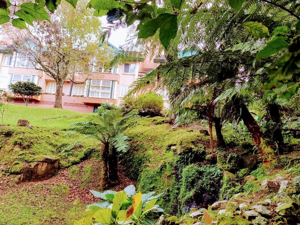 Loft Aconchegante Dois Quartos Em Gramado  Loft Aconchegante Dois Quartos Em Gramado