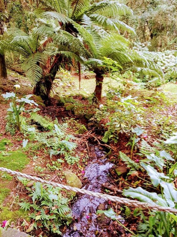 Loft Aconchegante Dois Quartos Em Gramado  Loft Aconchegante Dois Quartos Em Gramado