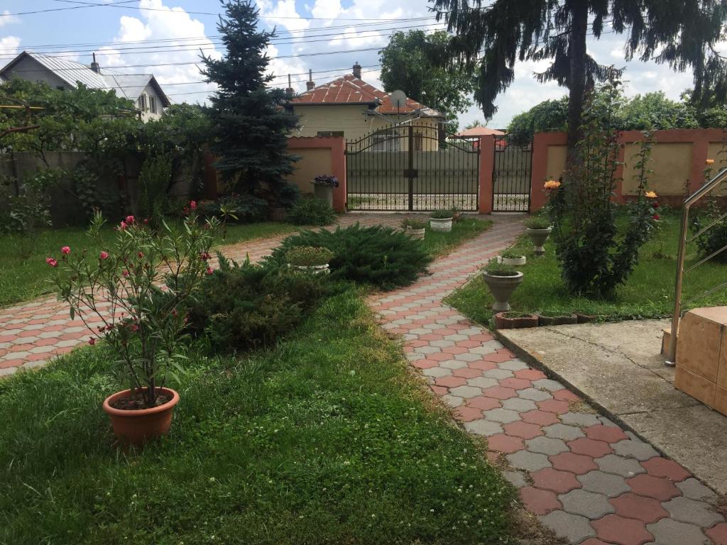 O grădină în afara Teachers