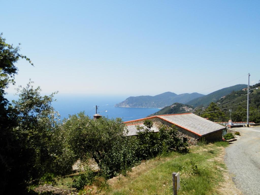 a house on the side of a road next to the ocean at Tra er Boscu er Maa in Volastra