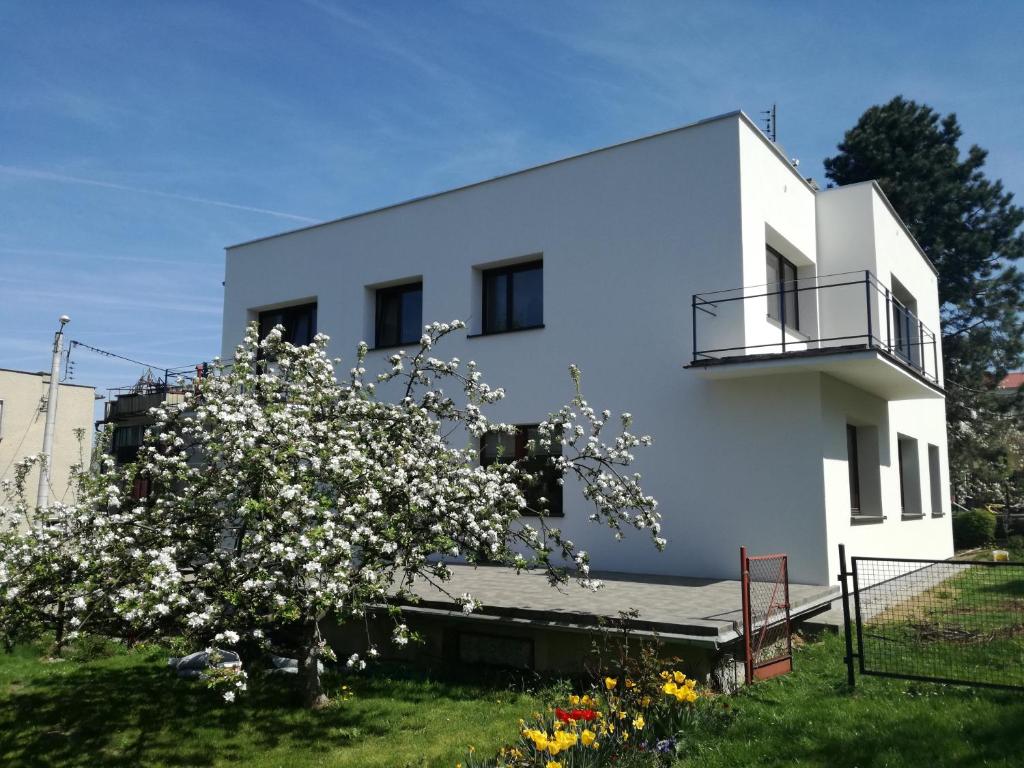 a white building with a flowering tree in front of it at Apartament Mamamiry in Głuchołazy