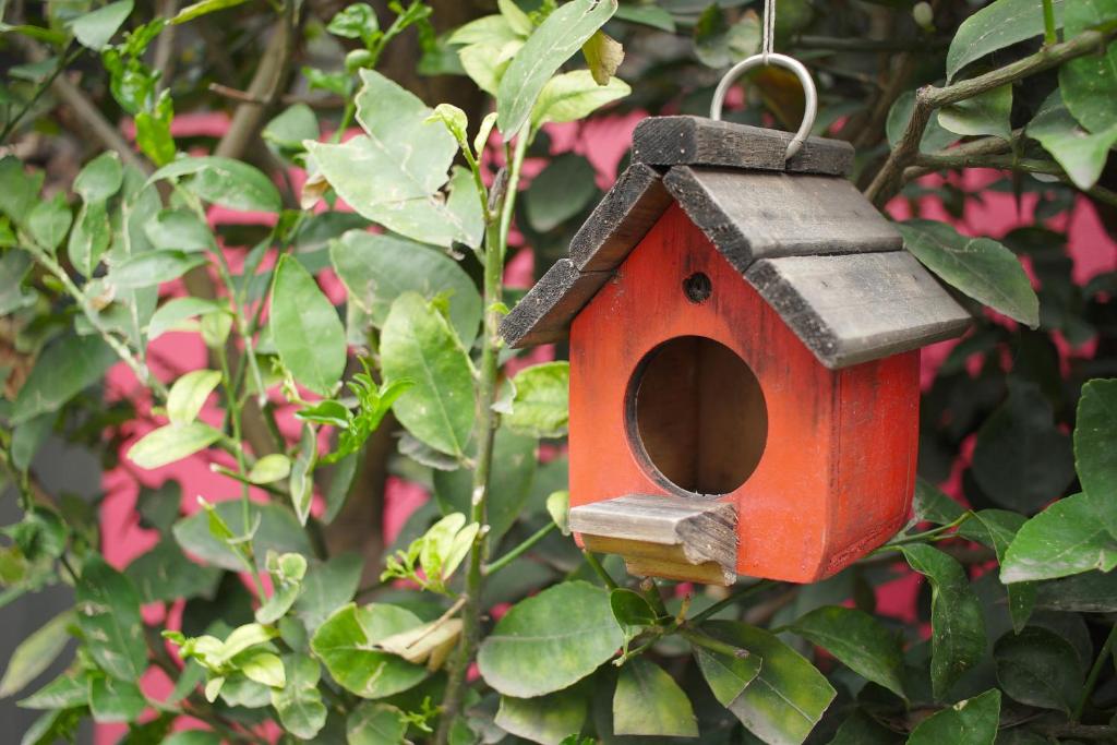 a red bird house hanging from a tree at Colibrí B&B in Mexico City