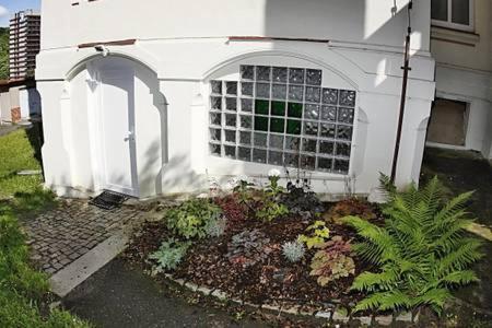 Apartmán Vila Bayer - Apartment