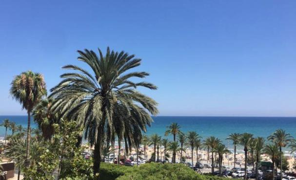 a view of a beach with palm trees and the ocean at Bel Appartement Face A La Mer in Alicante