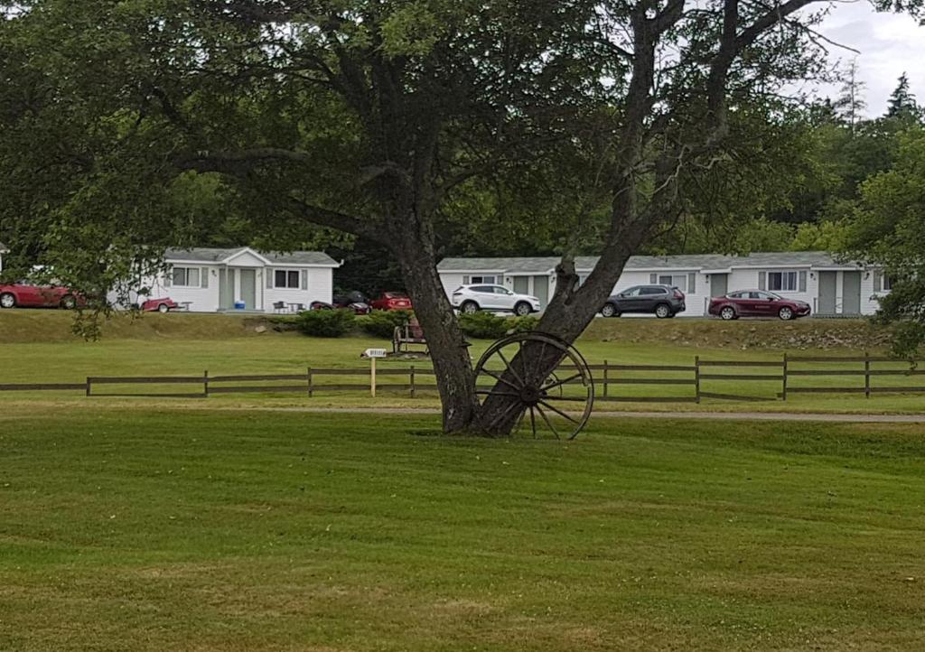 Ein Baum auf einem Feld mit einem Metallobiguniguniguniguniguniguniguiguiguiguiguiguiguiguiguiguiguiguiguiguiguiguiguiguiguiguiguiguiguniguniguniguiguigun in der Unterkunft MacNeil's Motel in North Sydney
