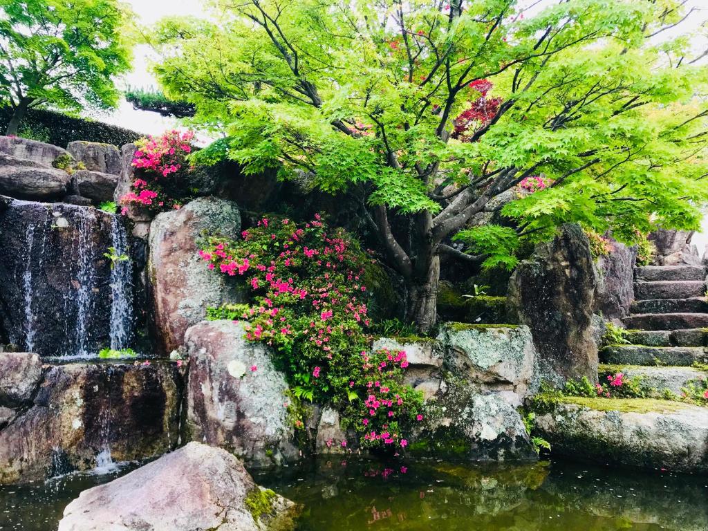 Zahrada ubytování NARA japanese garden villa