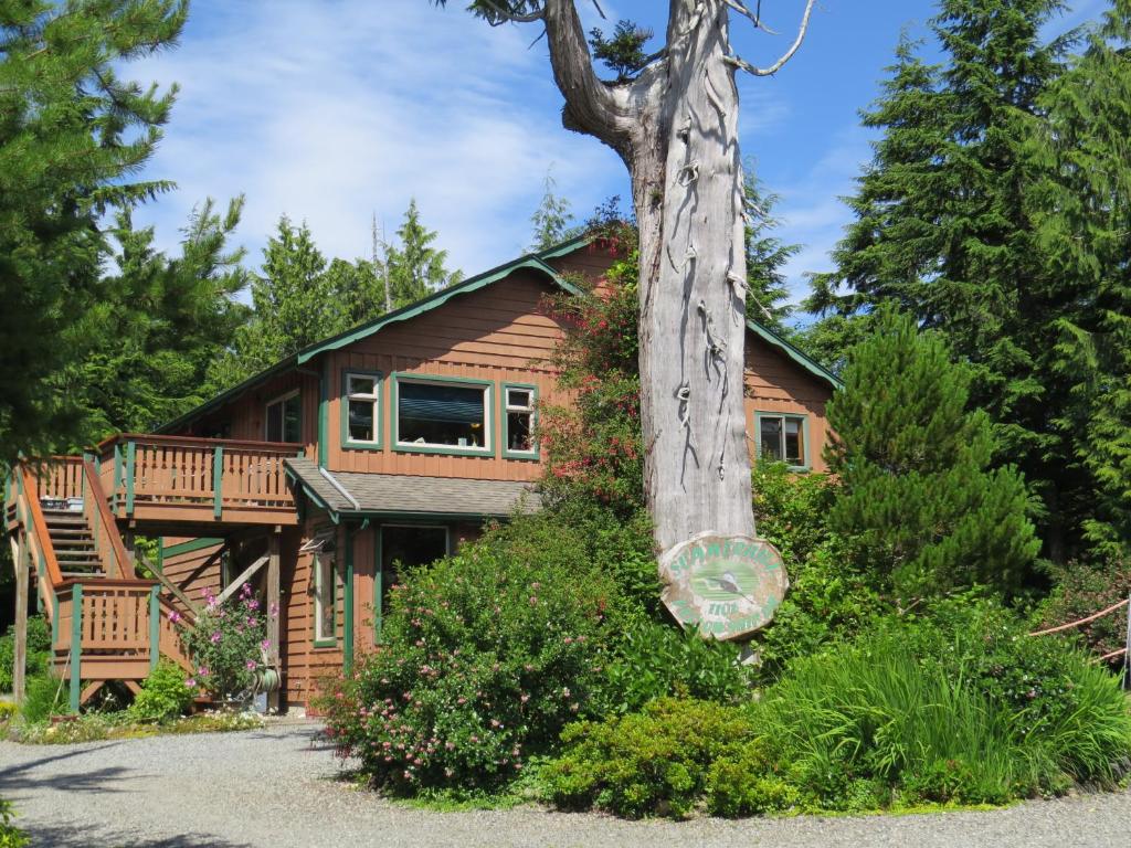 una cabaña de madera con un árbol delante en Summerhill Guest House en Tofino