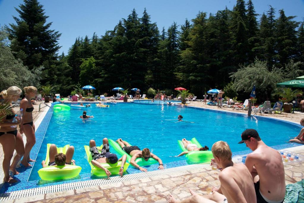 Bazén v ubytování Dunav Hotel nebo v jeho okolí
