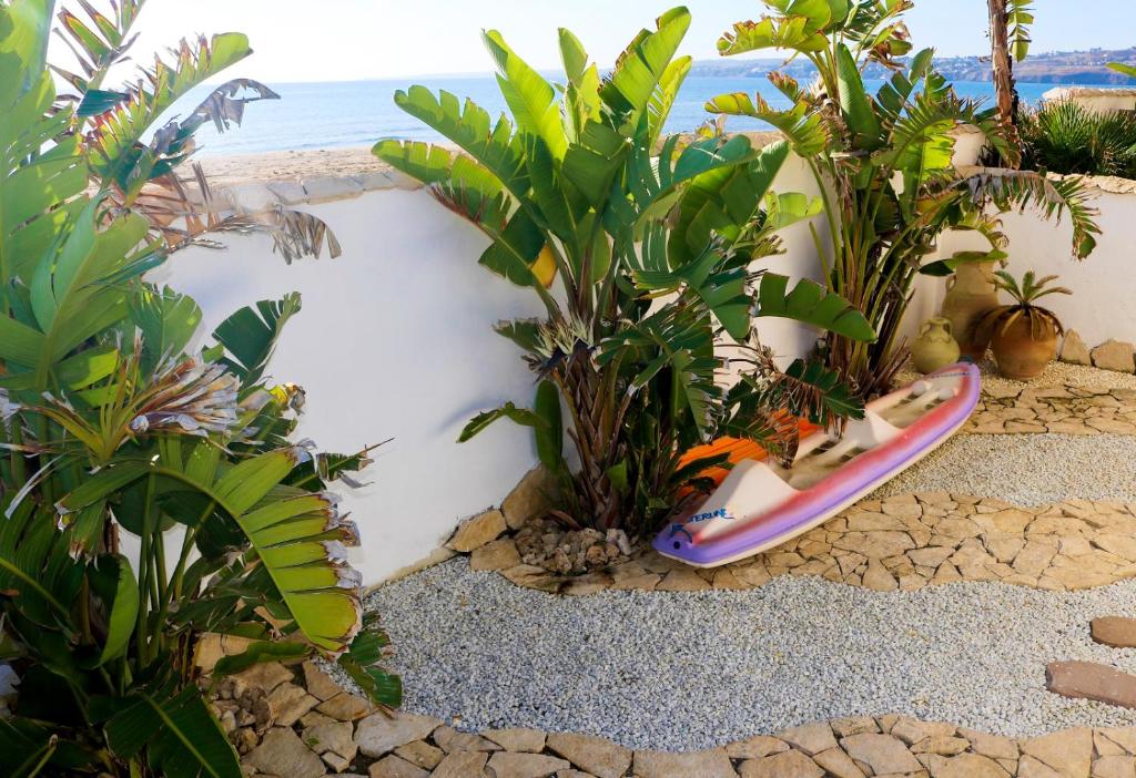 una tavola da surf seduta in mezzo a qualche pianta di The Golden Rainbow - SEAFRONT apartments a Villaggio San Leonardo