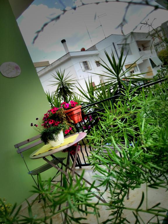 Zahrada ubytování B&B L'angolo fiorito