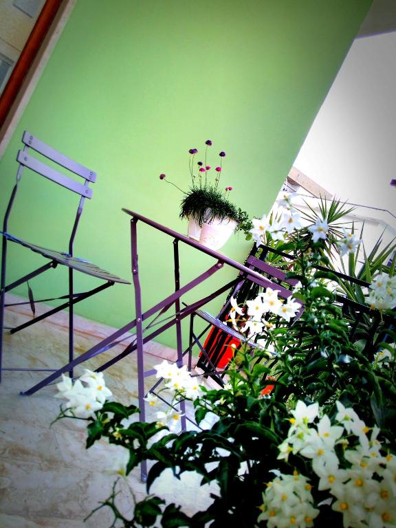 Zahrada ubytování B&B L'angolo fiorito