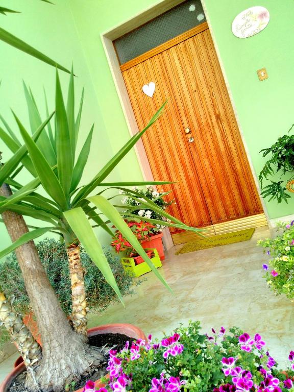 Zahrada ubytování B&B L'angolo fiorito