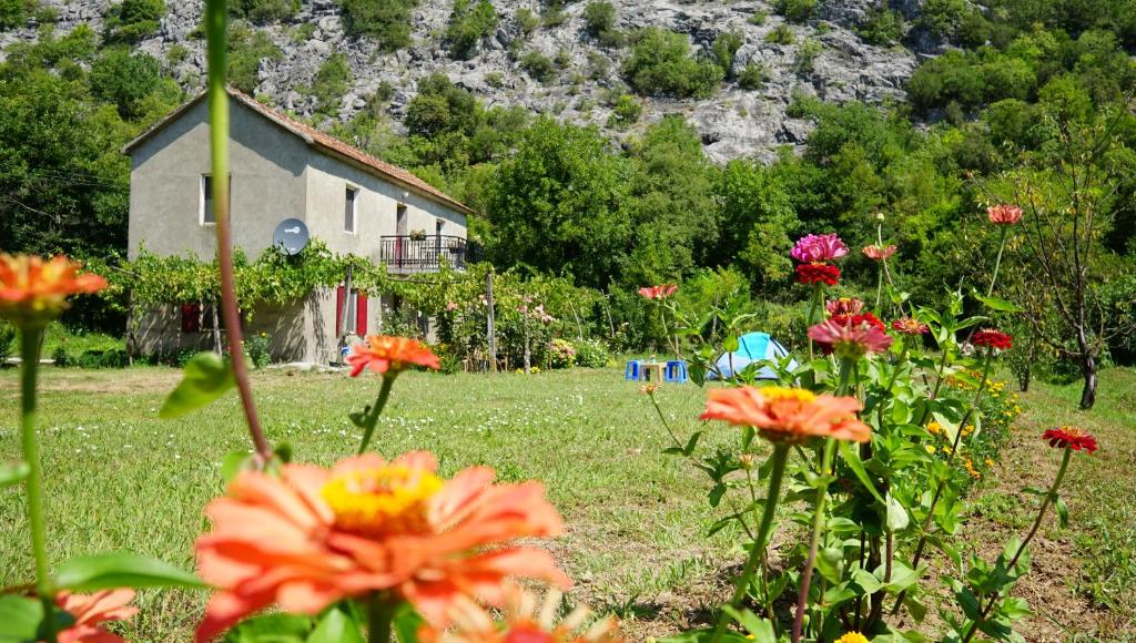 een tuin met bloemen voor een huis bij Camp Podkraj in Virpazar
