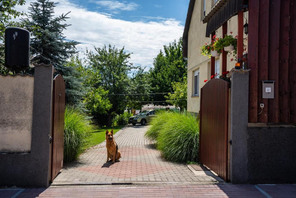 Muskáti apartman.Hunyadi.ut.6.sz. 7030 Paks, Hunyadi.ut.6.sz. kép - 1