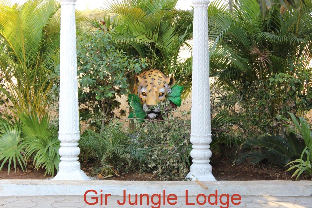 Zahrada ubytování Gir Jungle Lodge