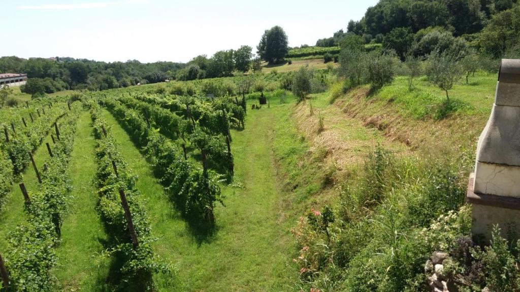 Zahrada ubytování La Bosca agriturismo