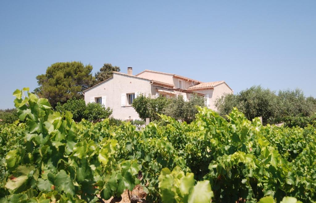 une maison au milieu d'un champ de vignes dans l'établissement Le Grand Barsan, à Vaison-la-Romaine