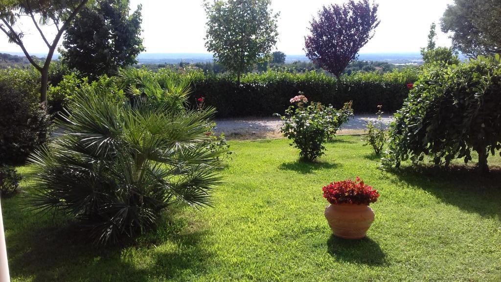 een tuin met een vaas met bloemen in het gras bij Agriturismo Le Quattro Stagioni in Viterbo