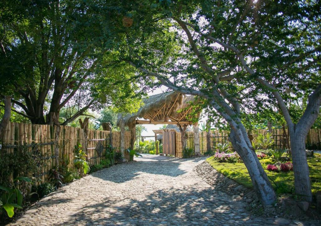 Zahrada ubytování Eco Hotel Tahawi