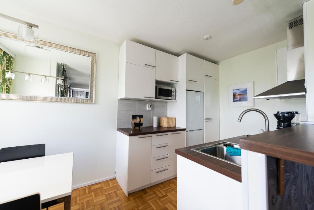Mikkeli Citycenter apartment with sauna - Apartamento Con Sauna