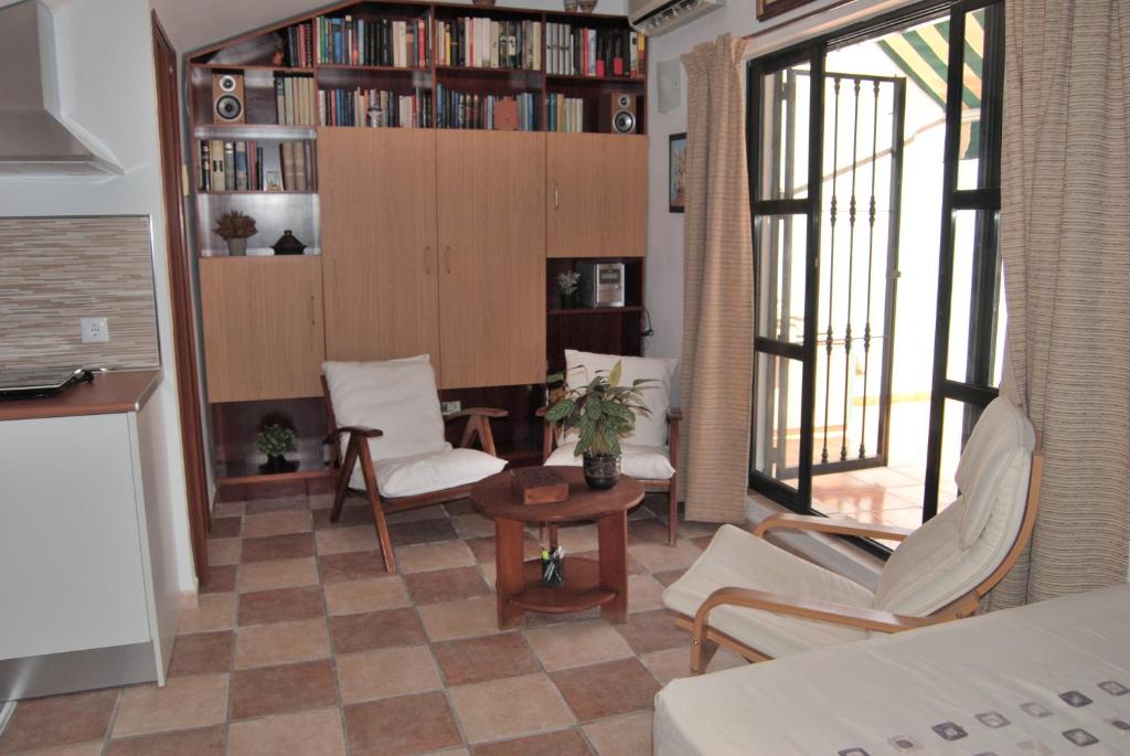 Biblioteka w apartamencie