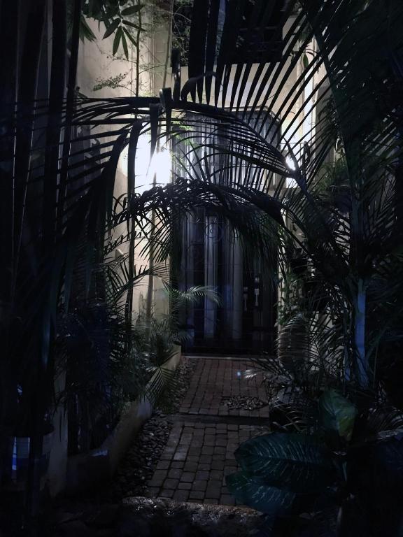 Colonia Americana Two Level Loft