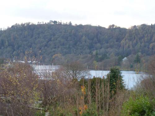 ウィンダミアにあるBowness Bay Viewの木々と山の湖の景色