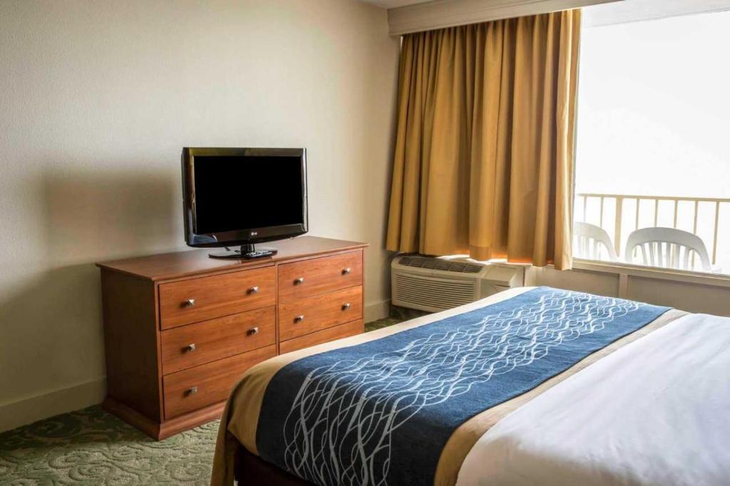 Comfort Inn South Oceanfront - Habitación Con Dos Camas Dobles Con Vista Al Mar - Para Mascotas