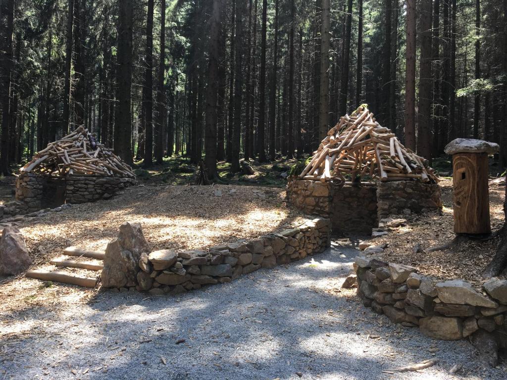 Příroda nedaleko apartmánu
