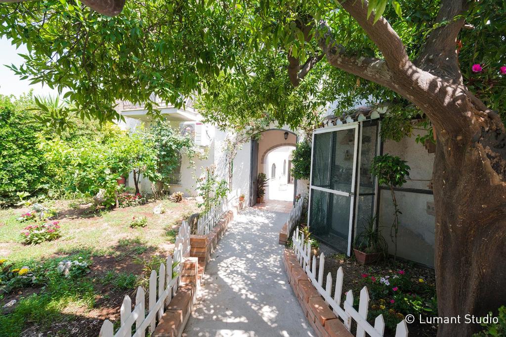einen Garten mit einem Baum und einem weißen Zaun in der Unterkunft Piccolo Albergo del Musicista in Ventaroli