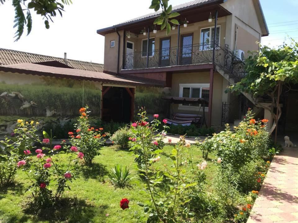 a garden in front of a house with flowers at Casa Lenuta in Mila Douăzeci şi Trei