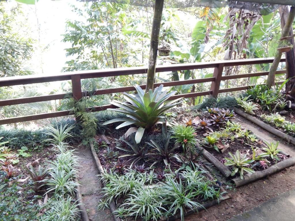  Pousada Mar de Sonhos