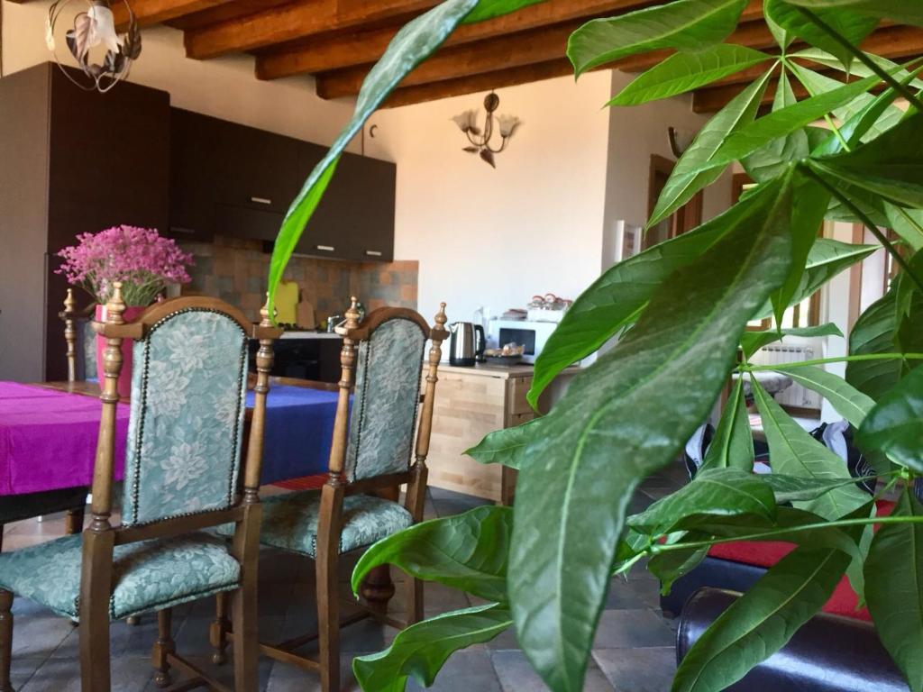 a dining room with a table and a plant at casa accogliente vista lago in Alserio