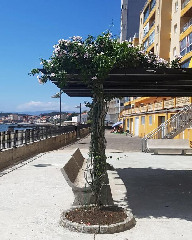 Vistas a la Ría de Arousa - Apartamento De Dos Dormitorios