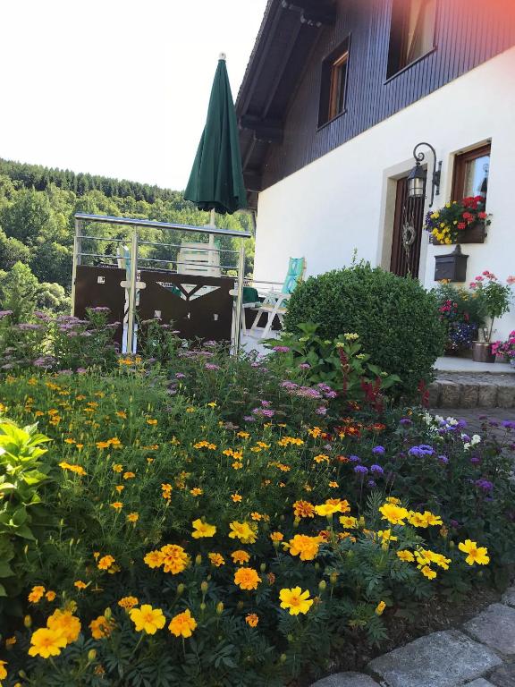 Zahrada ubytování Haus Mittelberg