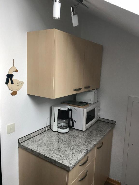 Kuchyň nebo kuchyňský kout v ubytování Haus Mittelberg