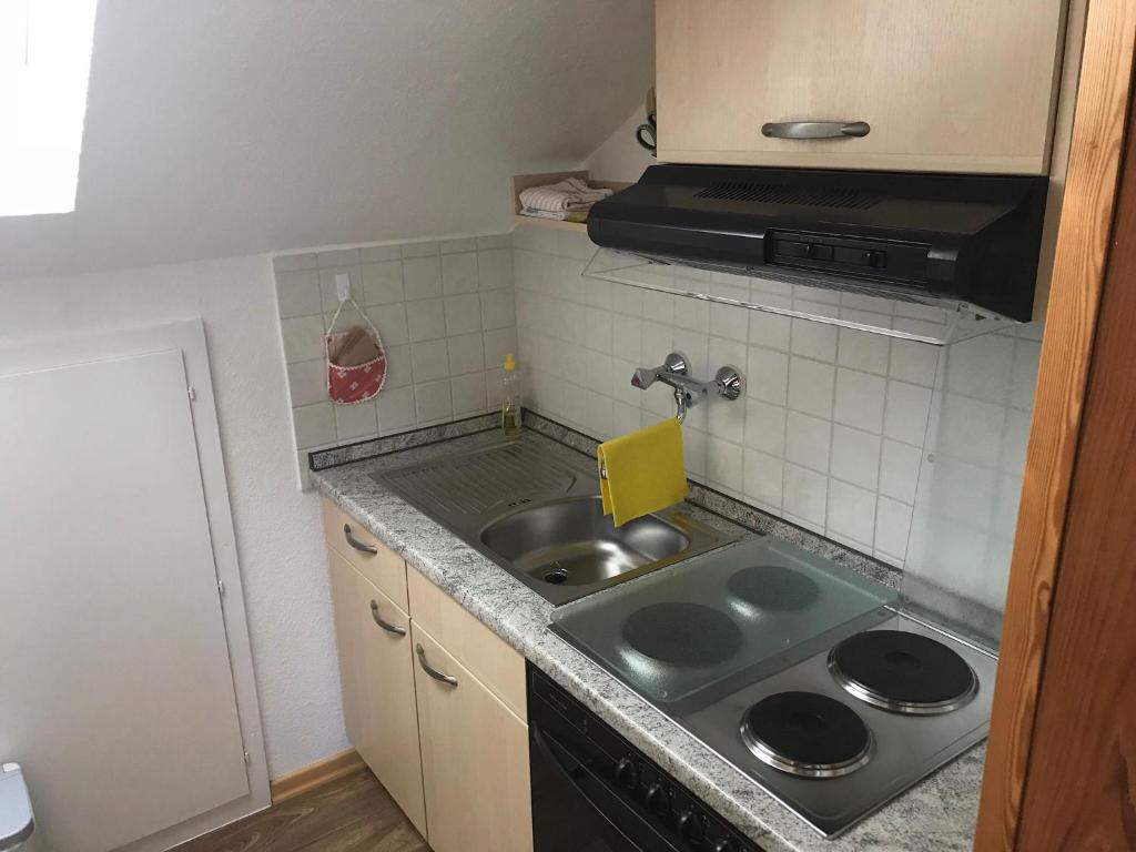 Kuchyň nebo kuchyňský kout v ubytování Haus Mittelberg