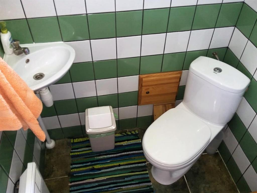 Koupelna v ubytování Brīvdienu māja Amatnieki