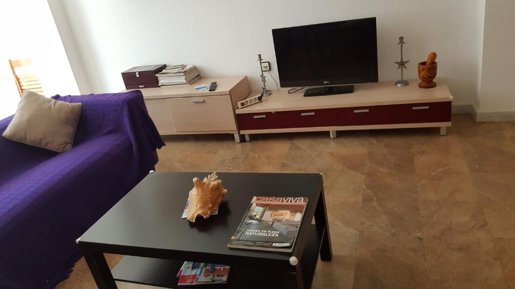 Televízia a/alebo spoločenská miestnosť v ubytovaní Gran Vía flat