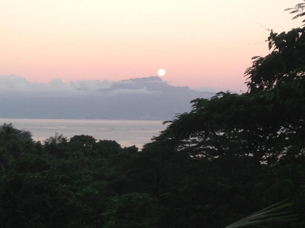 a sunset over the ocean with trees in the foreground at La Villa Te Fetia Nui Moorea in Teavaro