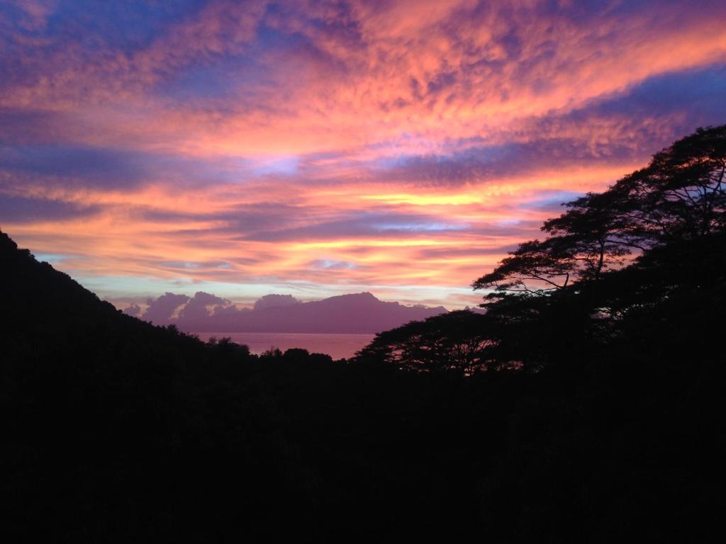 a sunset over the water with trees in the foreground at La Villa Te Fetia Nui Moorea in Teavaro