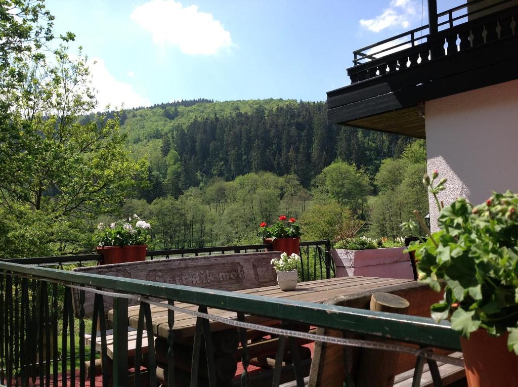 Nespecifikovaný výhled na hory nebo výhled na hory při pohledu z hotelu