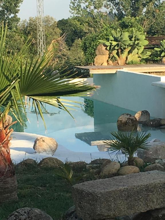 マドリガル・デ・ラ・ベラにあるLaEstanciaの岩や植物のある庭園内のスイミングプール