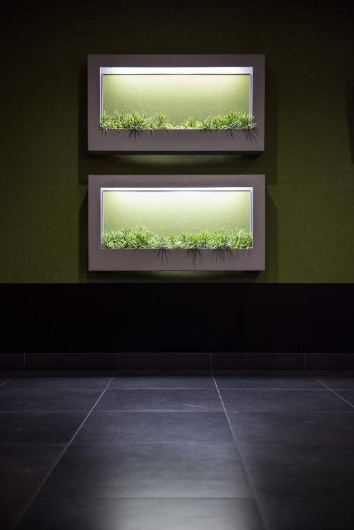 two mirrors on a green wall with plants at the b ikebukuro in Tokyo