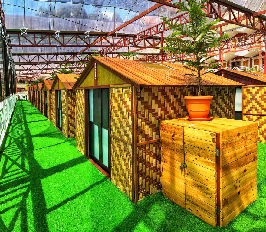 a row of small wooden buildings with a potted tree on top at Kea Garden Mini Chalet in Cameron Highlands