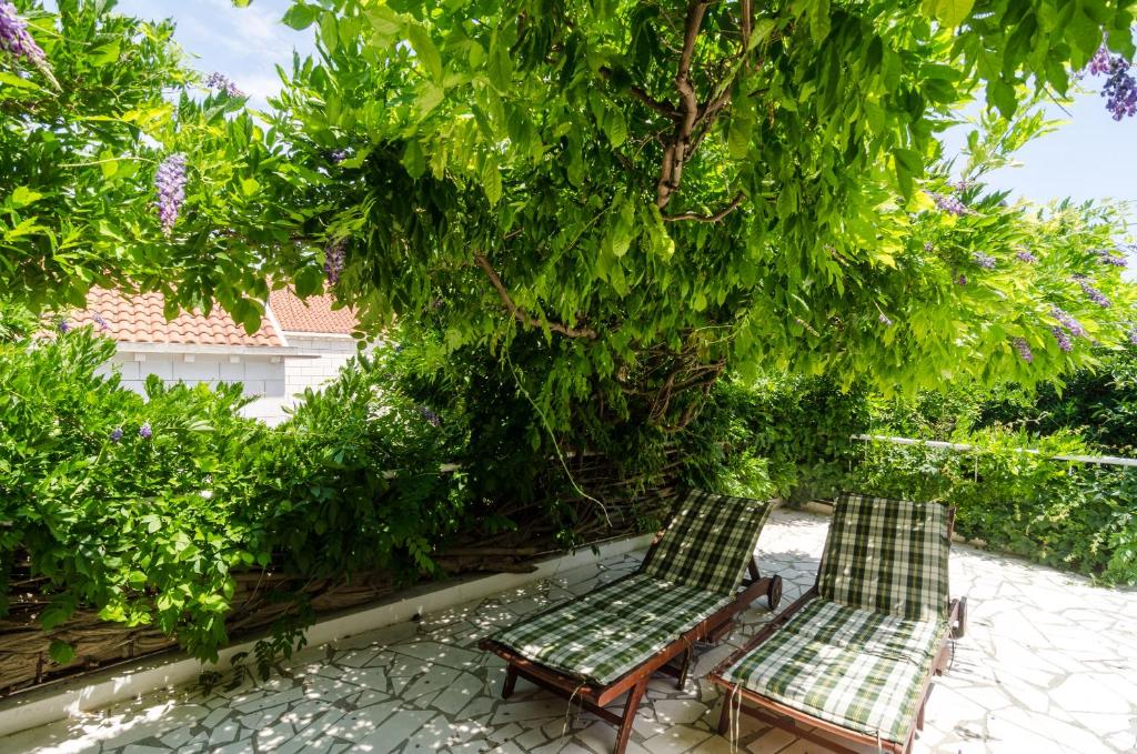 Fotografia z galérie ubytovania Wisteria Apartment v Dubrovníku