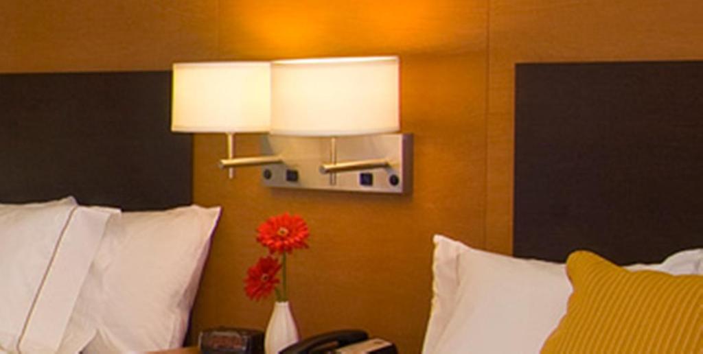 TownePlace Suites by Marriott Aiken Whiskey Road - Estudio Con Cama Grande