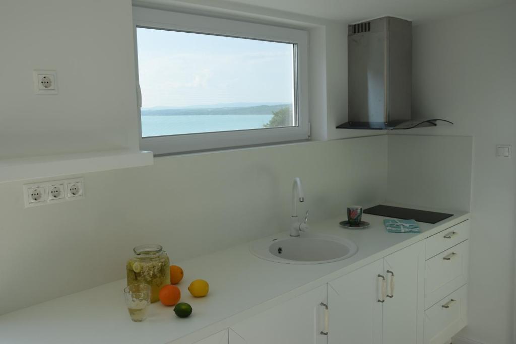 Kuchyň nebo kuchyňský kout v ubytování Panoramic apartments